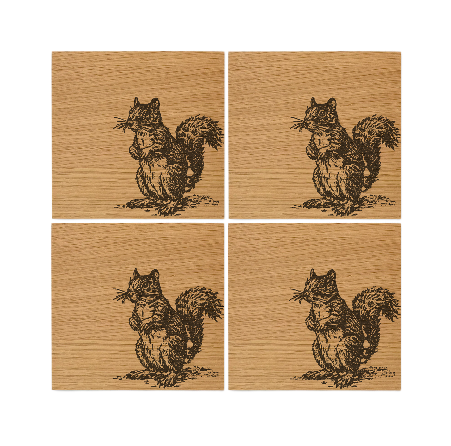 Squirrel Oak Coasters - Set of 4