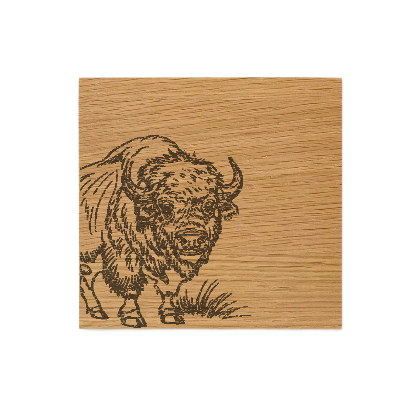 Bison Single Oak Coaster