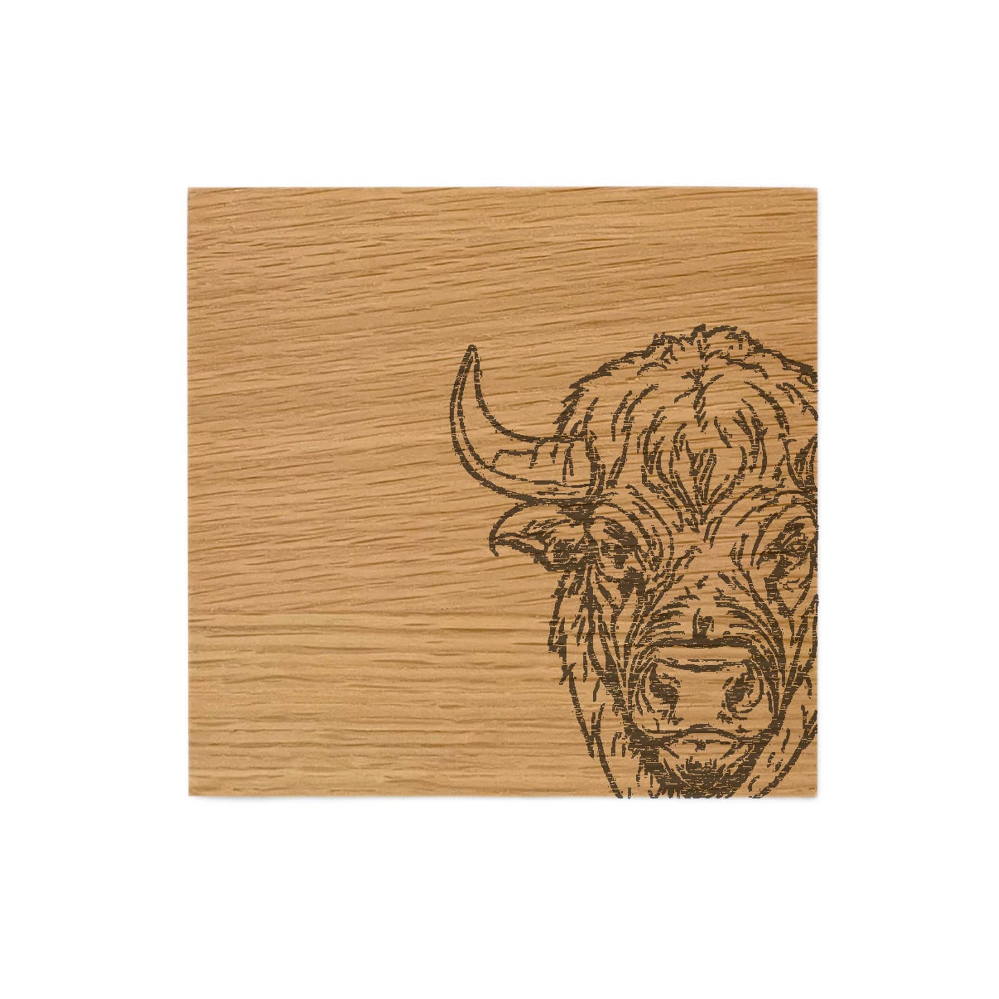 African Buffalo Single Oak Coaster