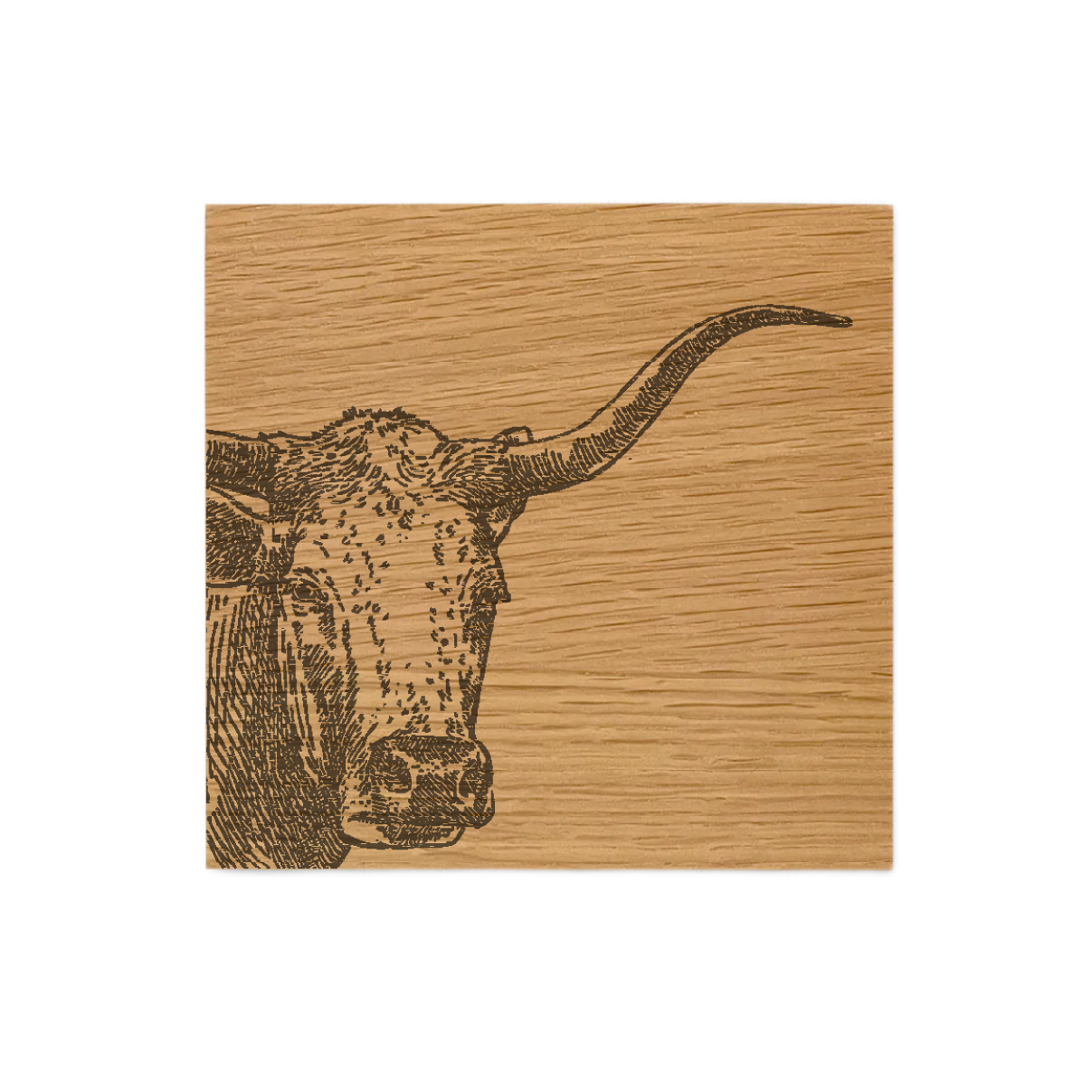 Texas Longhorn Single Oak Coaster