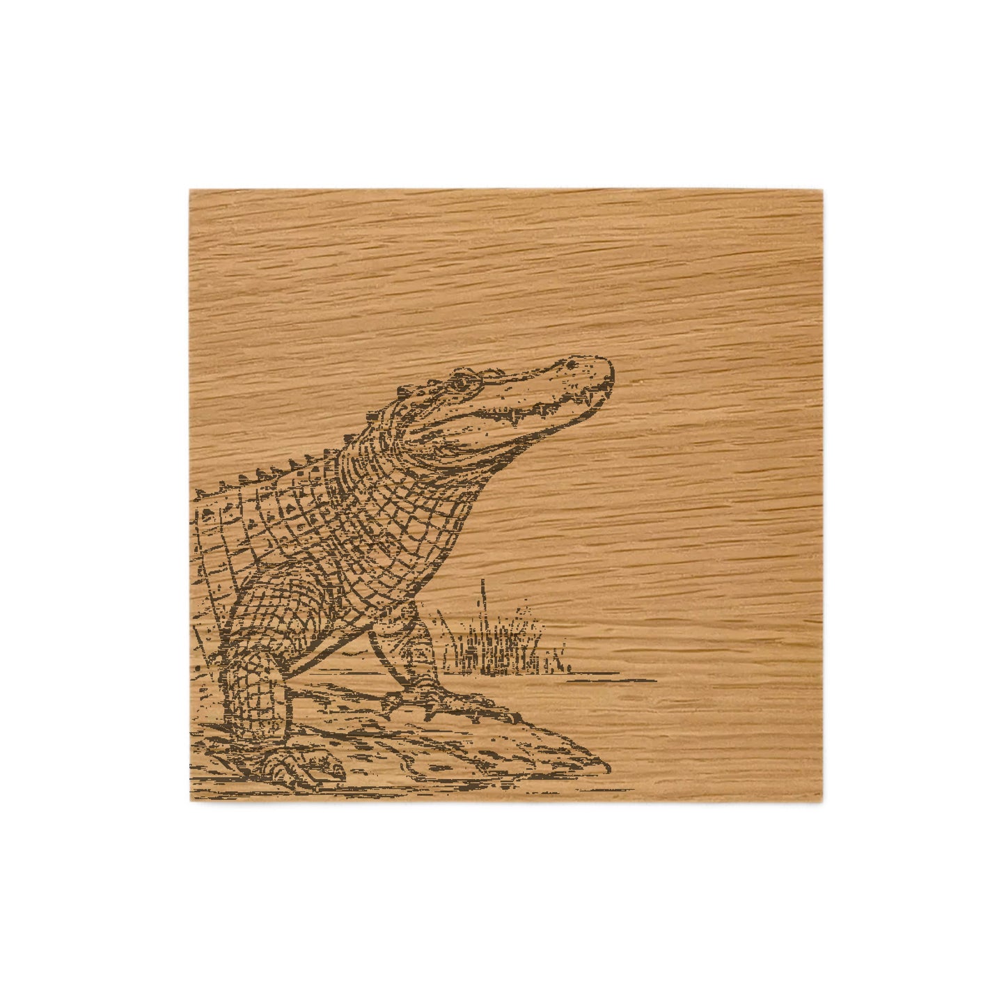 Crocodile Single Oak Coaster