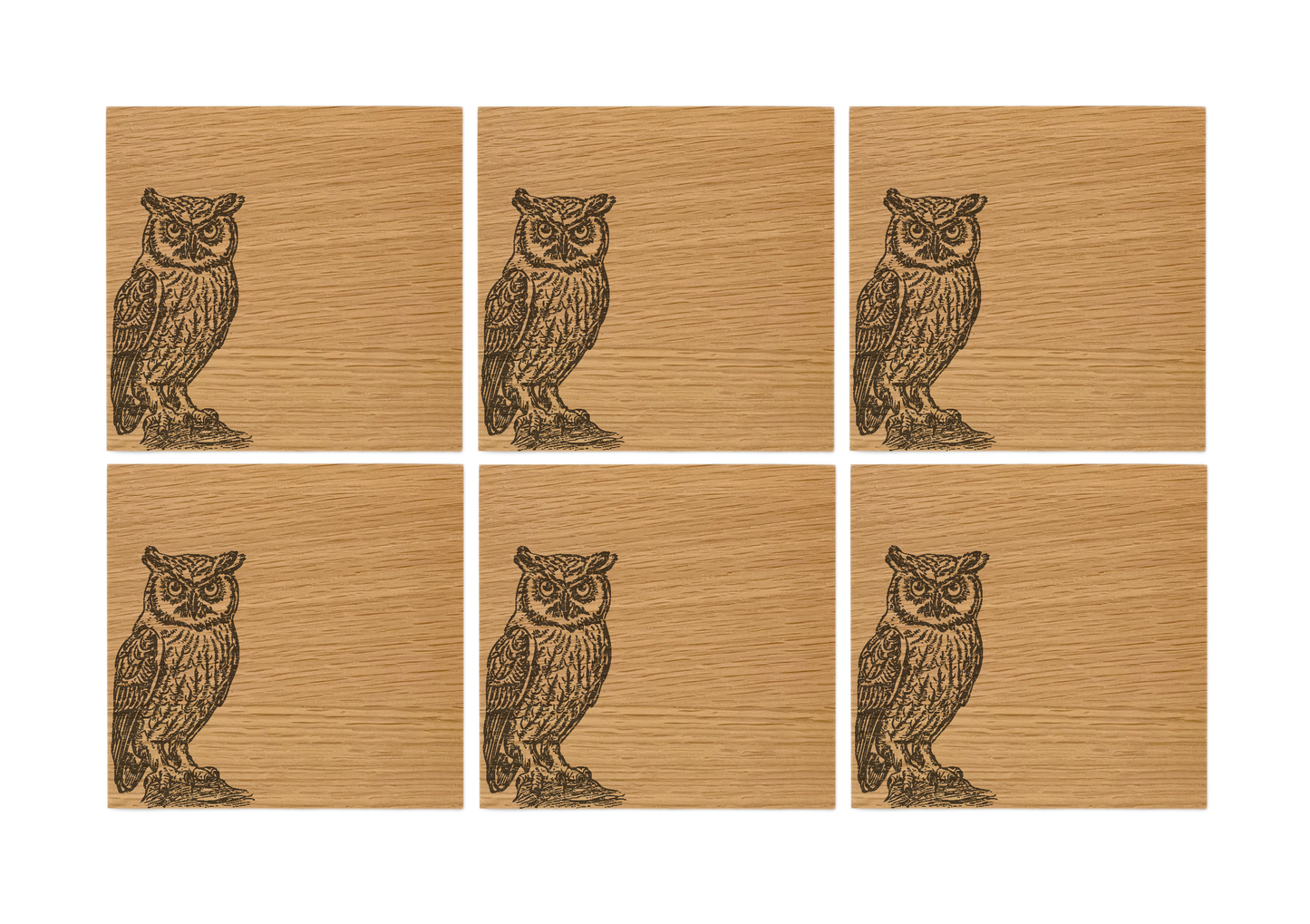 Owl Oak Coasters - Set of 6