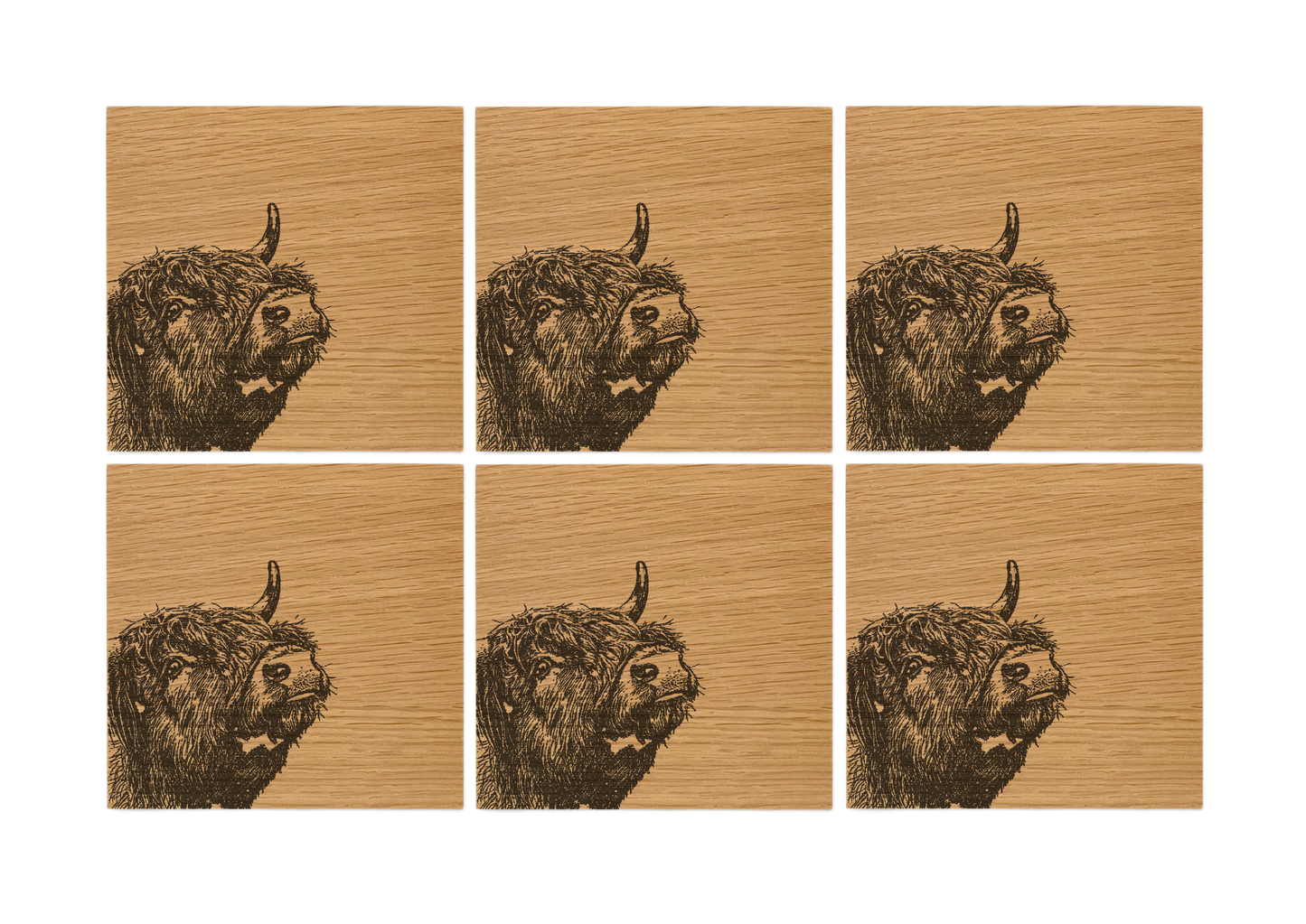 Highland Cow Oak Coasters - Set of 6