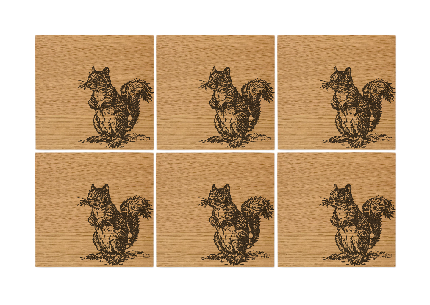 Squirrel Oak Coasters - Set of 6