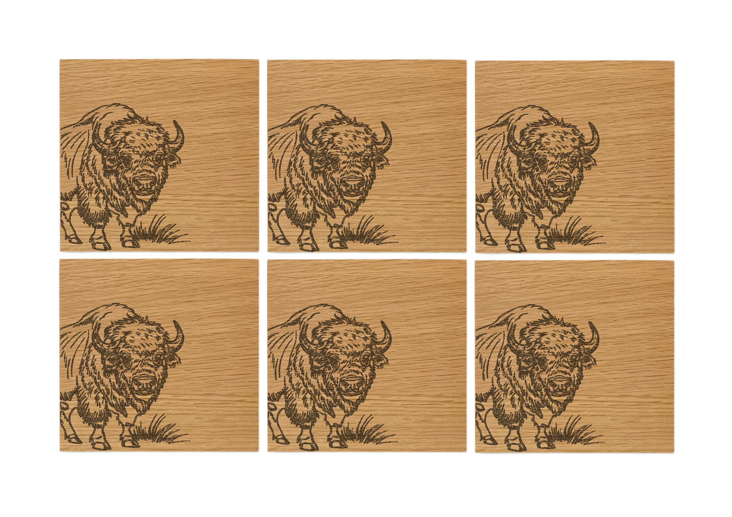 Bison Oak Coasters - Set of 6