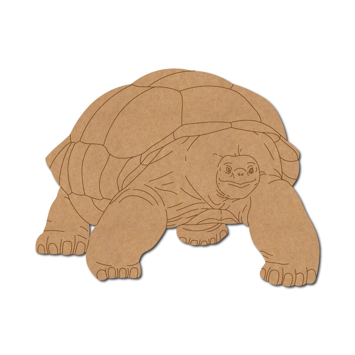 Tortoise Pre Marked Design 7