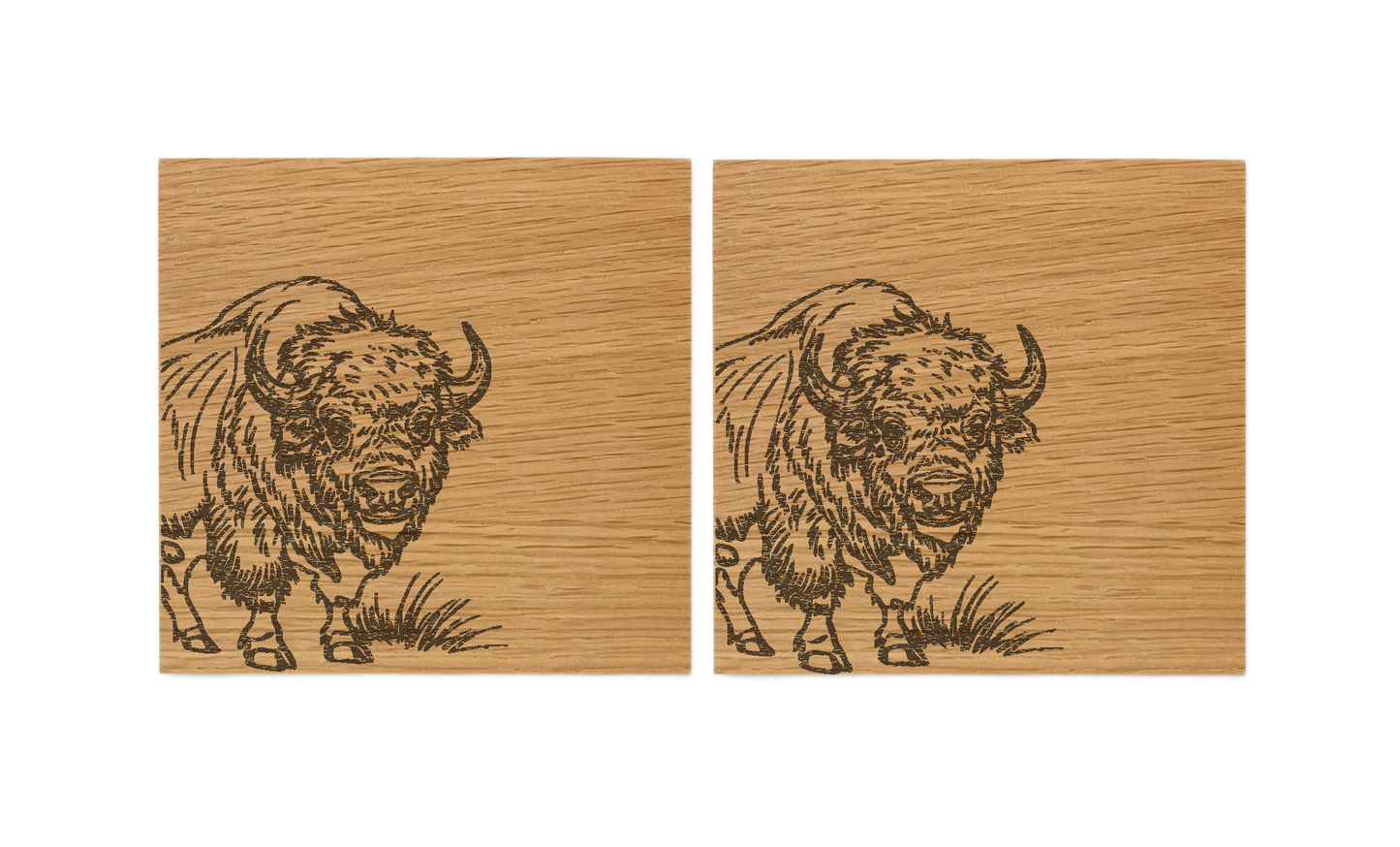 Bison Oak Coasters - Set of 2