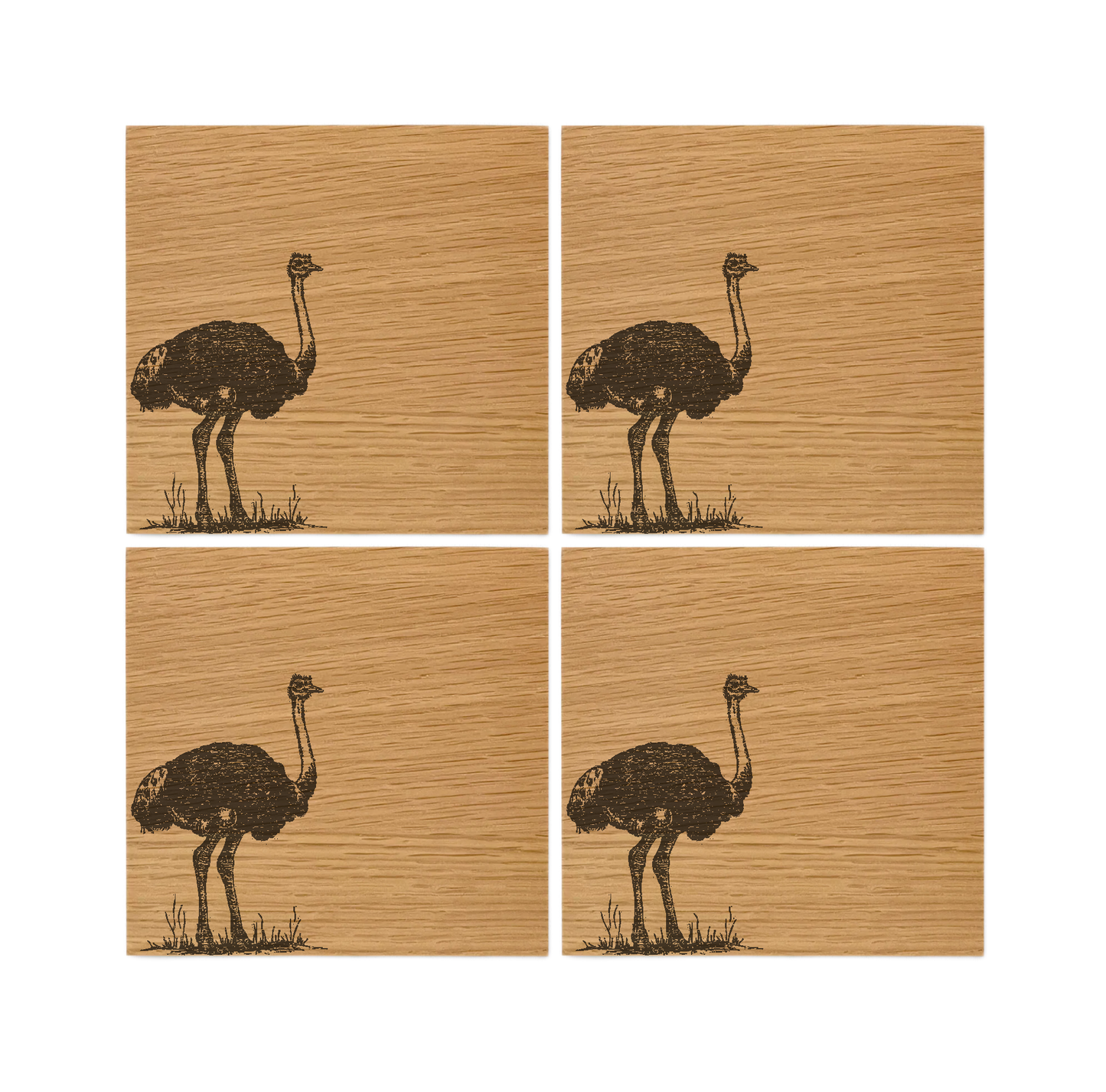 Ostrich Oak Coasters - Set of 4