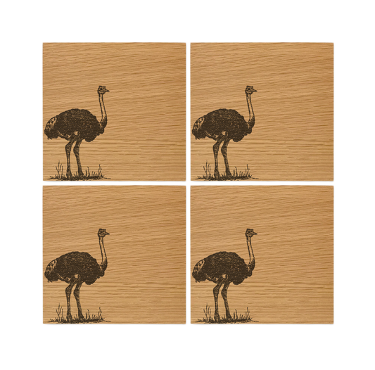 Ostrich Oak Coasters - Set of 4