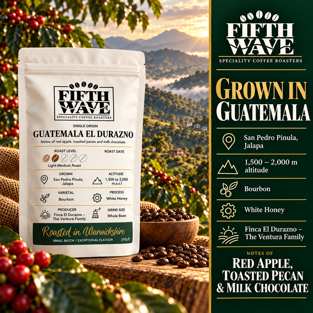 Guatemala El Durazno - Light Medium Roast