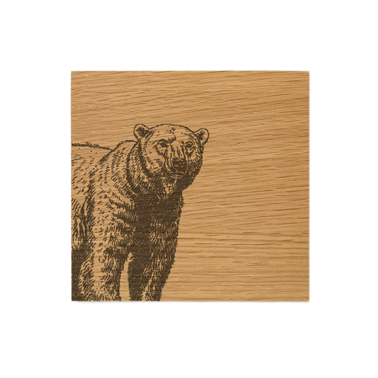 Bear Single Oak Coaster