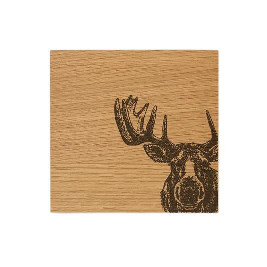 Moose Single Oak Coaster