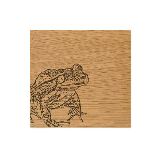 Frog Single Oak Coaster