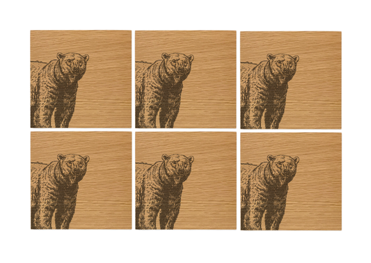 Bear Oak Coasters - Set of 6
