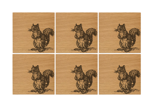 Squirrel Oak Coasters - Set of 6