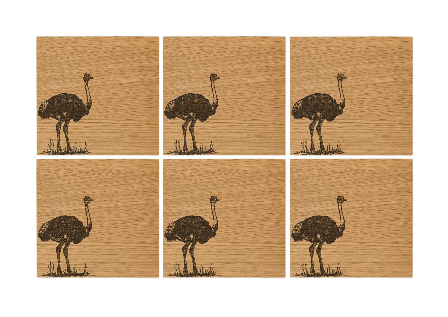 Ostrich Oak Coasters - Set of 6