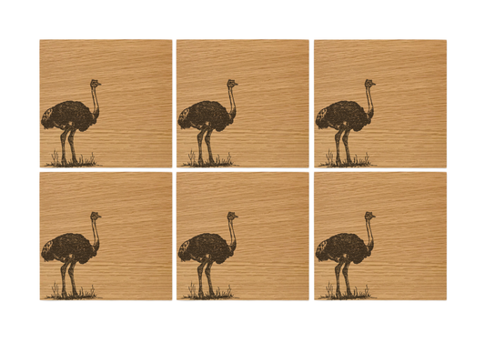 Ostrich Oak Coasters - Set of 6