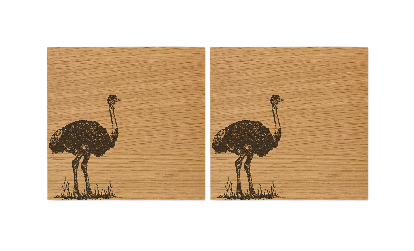 Ostrich Oak Coasters - Set of 2